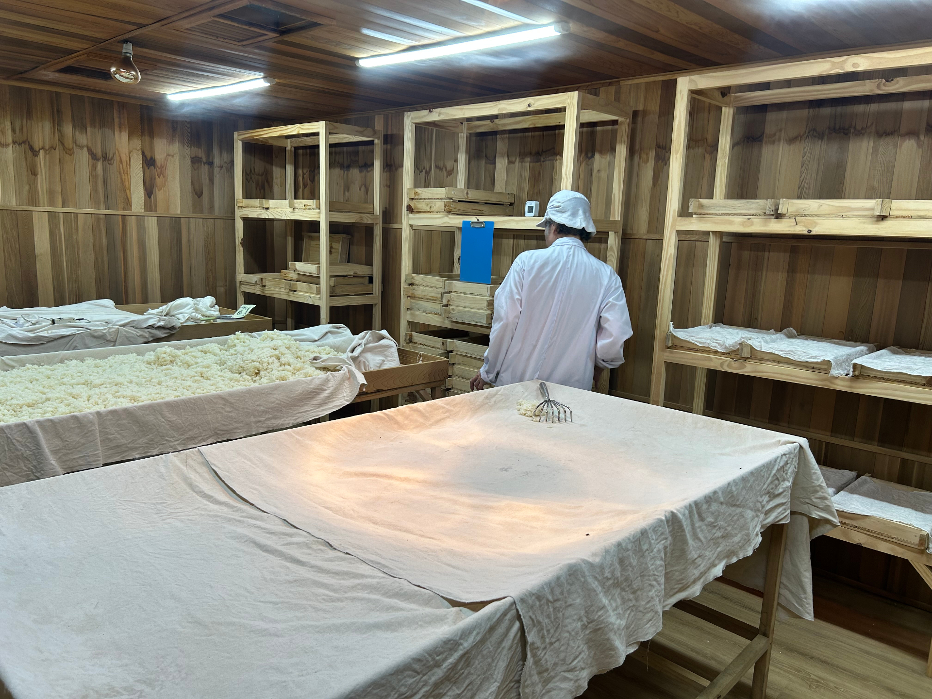 Quá trình ủ gạo koji